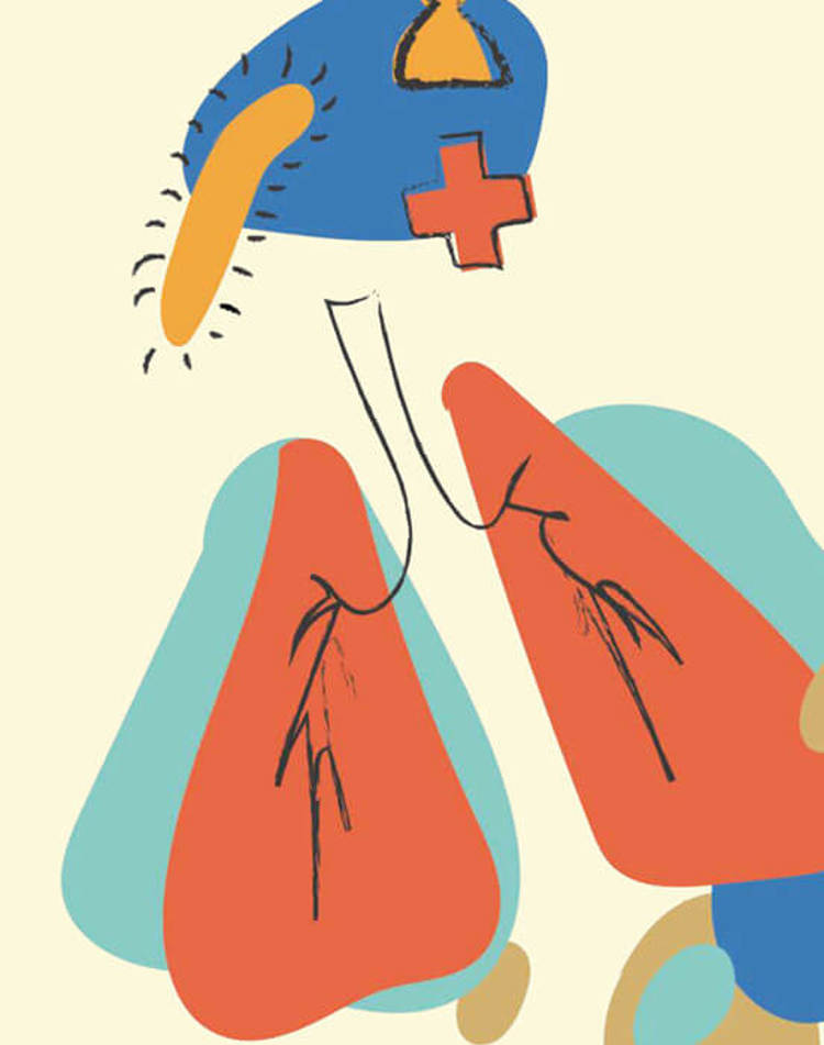 Article 20200212 Promo Panel 552X700