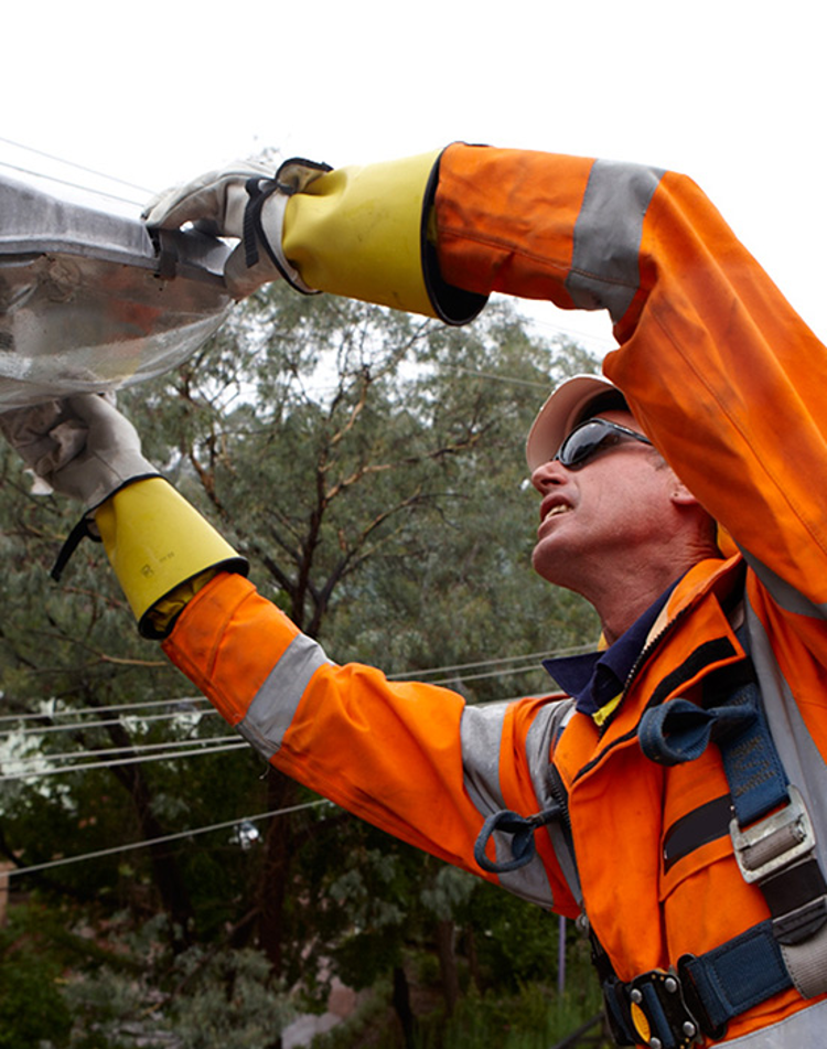 EE Promo Panel 552X700