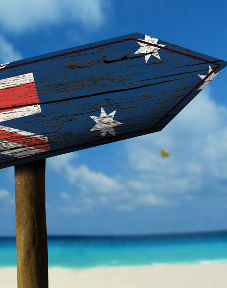 Promo Panel 552X700article 20201211