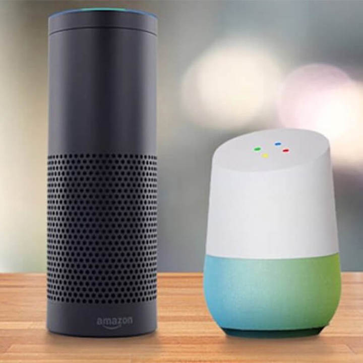 Voice Search Strategy and Skills Development