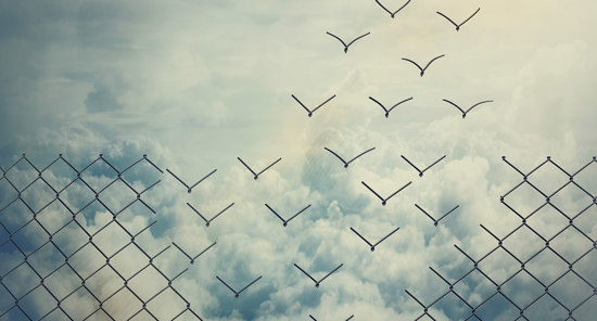 The process behind Transforming Health Insurance Acquisition