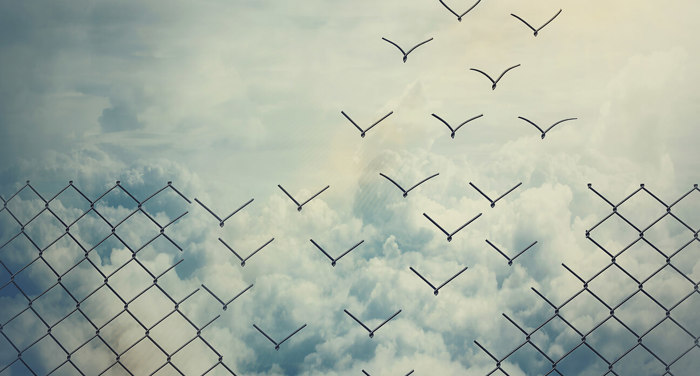 The process behind Transforming Health Insurance Acquisition