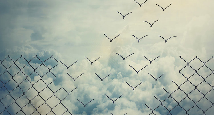 The process behind Transforming Health Insurance Acquisition