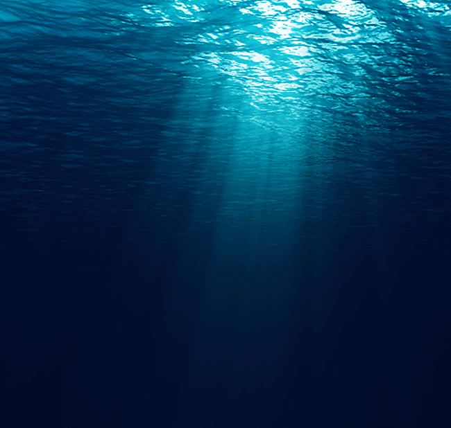 Transformation & Strategy