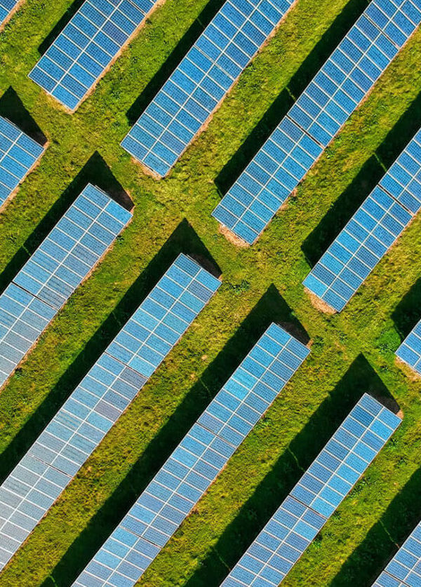 Intium Website Build